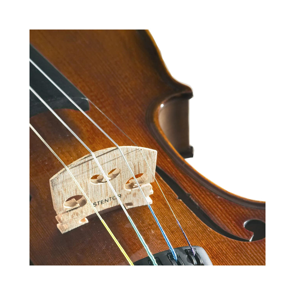 STENTOR Violin Outfit 4/4 1500A – ChennaiMusicals
