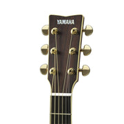 YAMAHA Semi Acoustic Guitar LS6 ARE