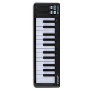 Arturia MicroLab mk3 midikeyboard