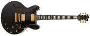 FGN Electric Guitar Masterfield Series -Black MSA-HP-C/BK