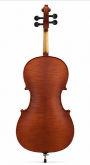 Granada Cello Andante-M Complete w/Bow & Case Full Size - Matt Finish