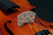 STENTOR Violin Outfit 4/4 1018A
