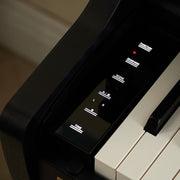 Casio AP-750BK Celviano Digital Piano w/Bench