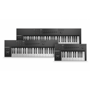 NATIVE INSTRUMENTS KOMPLETE KONTROL A25