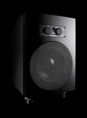 ADAM AUDIO Sub 8 Active Subwoofer