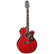 TAKAMINE Semi Acoustic Guitar GN75CE WR