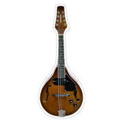 Tamrock Electric Mandolin TMMA-50EN