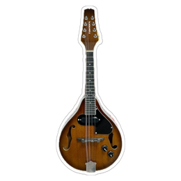 Tamrock Electric Mandolin TMMA-50EN