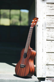 KALA Makala Concert Ukulele MKC   KA-MK-C