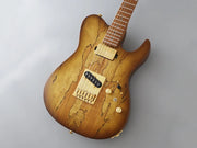 FGN Electric Guitar Iliad Series -Hojicha Burst EIL-EW1-HS-RM/HCB