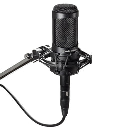 Audio-Technica AT2035 Cardioid Condenser Microphone