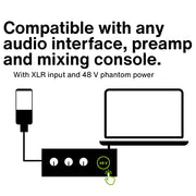 Lewitt LCT 440 Pure Single-Pattern 1