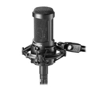 Audio-Technica AT2035 Cardioid Condenser Microphone