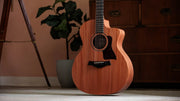 Taylor 24ce Sapele Acoustic-Electric Guitar