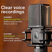 Lewitt LCT 440 Pure Single-Pattern 1