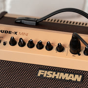 Fishman Amplifier Loudbox Mini - PRO LBT EU5