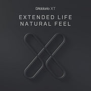 D ADDARIO Classical Strings Set XTC44