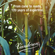 VANDOREN Juno Clarinet Reed 2.5 JCR0125