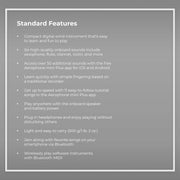 Roland AE-01 Aerophone mini Digital Wind Instrument