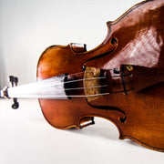 Thomastik DP100 Dominant Pro Violin 4/4 Strings