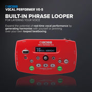 ROLAND Vocal Performer VE 5RD