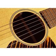 LR Baggs Element Active System Classical with Volume and Tone Control