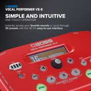 ROLAND Vocal Performer VE 5RD