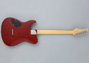 FGN Electric Guitar Iliad Series J StandardBoundary - Koa Natural Burst JIL2-DU-EW2-R/KNB