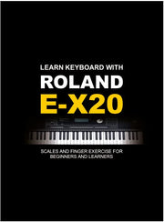 Roland EX-20 Arranger Keyboard