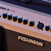 Fishman Amplifier Loudbox Mini - PRO LBT EU5
