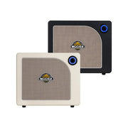 Mooer Hornet 30i Intelligent Amplifier