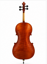 Granada Cello Andante-G Complete w/Bow & Case Full Size -Glossy Finish
