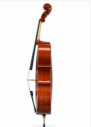 Granada Cello Andante-G Complete w/Bow & Case Full Size -Glossy Finish