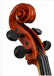 Granada Cello Andante-G Complete w/Bow & Case Full Size -Glossy Finish