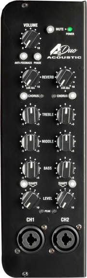 Laney A-DUO Acoustic Combo Amplifier