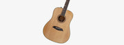 SIRE SEMI ACOUSTIC GUITAR A4-DS-NT