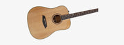 SIRE SEMI ACOUSTIC GUITAR A4-DS-NT