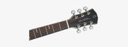 SIRE SEMI ACOUSTIC GUITAR  A4-GS-VS