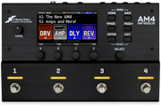 Fractal Audio AM4 Compact Amp Modeler & Multi-FX