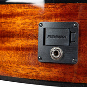 Breedlove Discovery S Concert Edgeburst CE - African mahogany