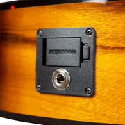 Breedlove Pursuit Exotic S Tiger's Eye CE Electro Acoustic Guitar - PSCN42CEMYMY