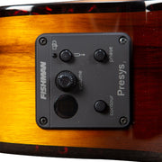 Breedlove Pursuit Exotic S Tiger's Eye CE Electro Acoustic Guitar - PSCN42CEMYMY