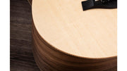 TAYLOR Layered Walnut Acoustic-Electric Guitar BT1E