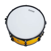 Dixon Fuse Maple 5 Pcs Shell Pack Drumkit