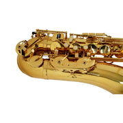 HAVANA Alto Saxophone M1105AY