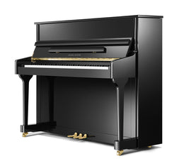 Pearl River, Upright Piano AEU118 -Black (with Bench)