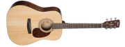 CORT Acoustic Guitar EARTH60 Open pore