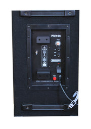 STRANGER Amplifier with Speaker PM165