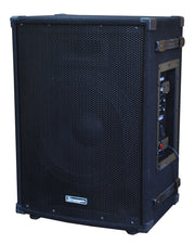 STRANGER Amplifier with Speaker PM165