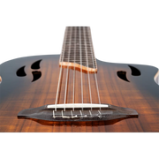 Ortega Classical Electric guitar TourPlayer Series  RTPDLX with Gig bag